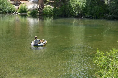 DSC_3225 (Large).JPG